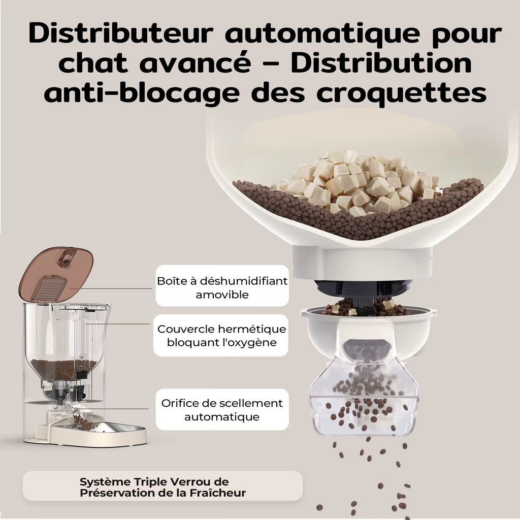 Nourrissez votre chat à distance, en toute sérénité.